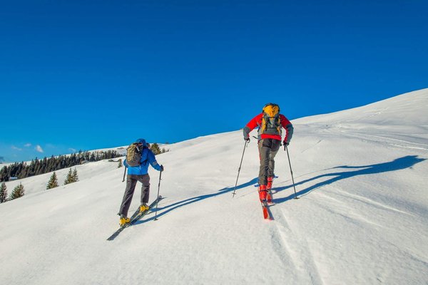 Comment planifier une randonnée en montagne avec des enfants en bas âge?